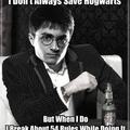 Because he's Harry freakin Potter!