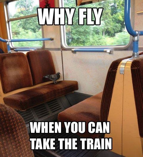 Why Fly? - meme