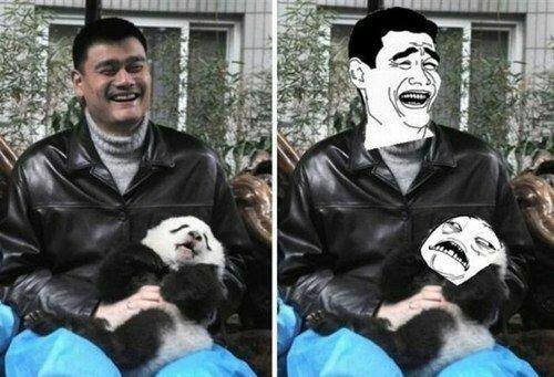 that panda is having way too much fun - meme
