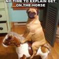 get on the horse!
