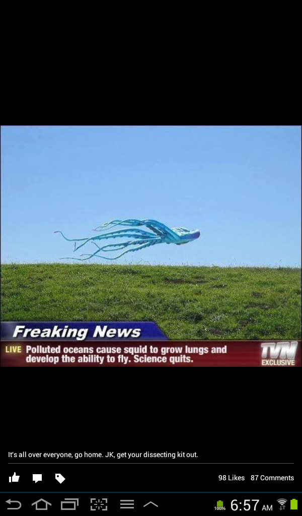 Flying Squid - meme