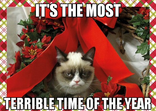 Oh grumpy cat! - meme