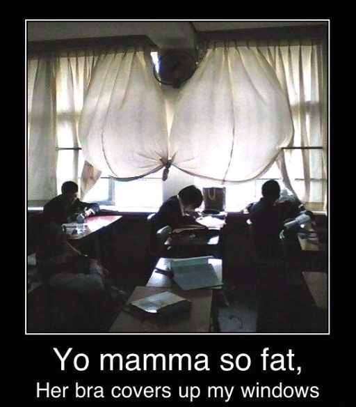 Yo mamma is so fat... (Finish the sentence) - meme