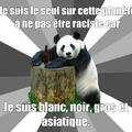 Panda pas raciste