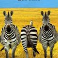 Joder fotos: nivel zebra
