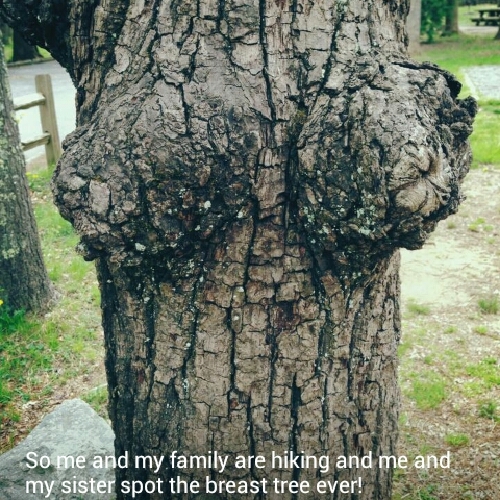 Mother Nature is sexy - meme