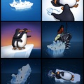 Hahaha titanic acabando com os pinguins como sempre!