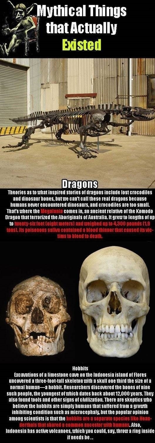 Mythical things that actually existed - meme