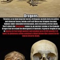 Mythical things that actually existed