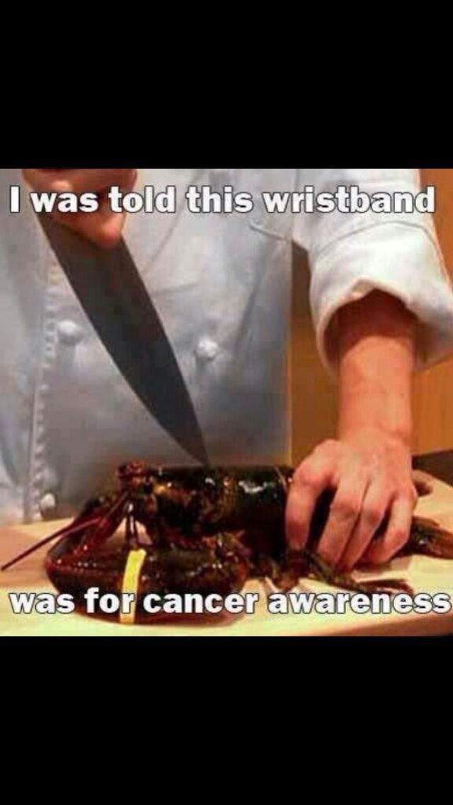 Poor lobster :( - meme