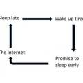 my lifecycle