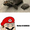 Mother of bowser 