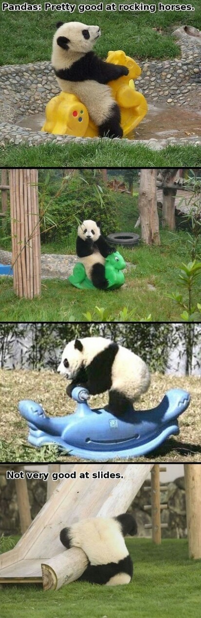 pandas are cute - meme