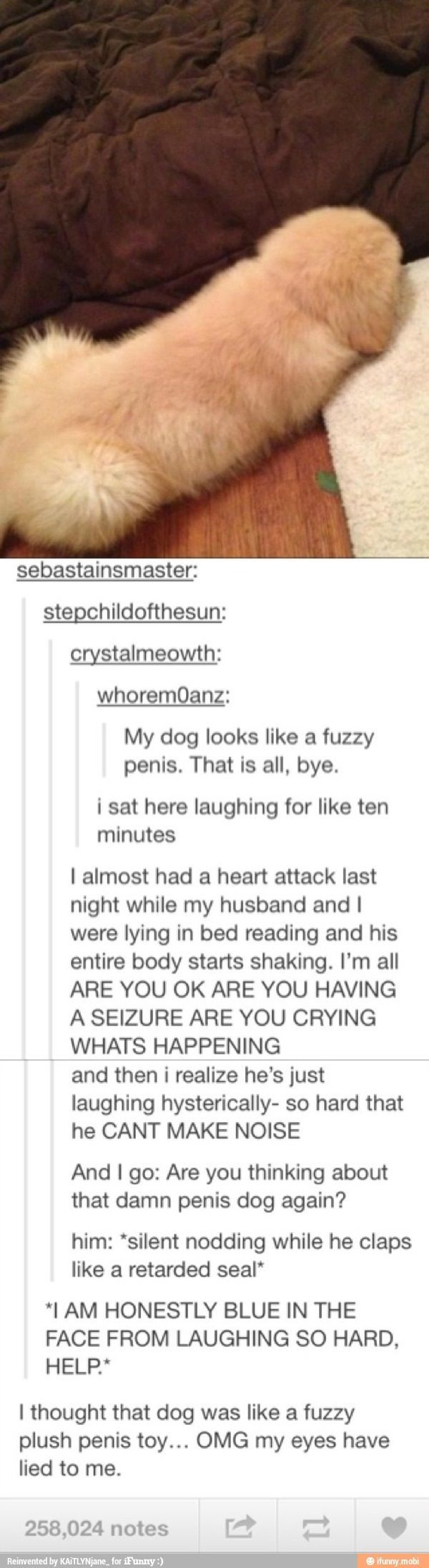 Furry animal dick meme