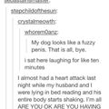 Fuzzy Penis Dog