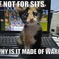 cute kitty cure