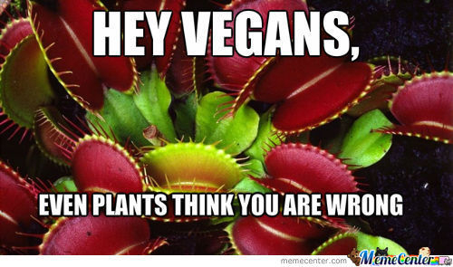 Vegans are wrong - meme