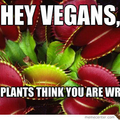Vegans are wrong
