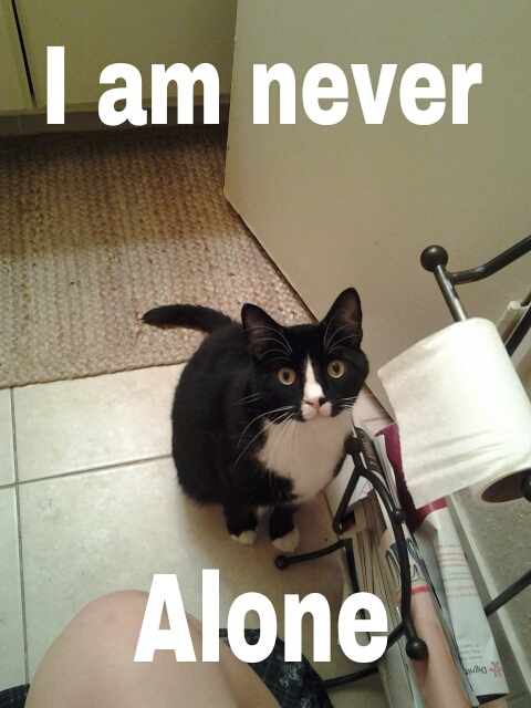 ...at least my cat still loves me *forever alone face* - meme
