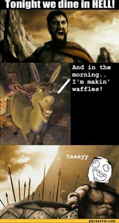 donkey vs Persia - meme