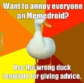 Advice Duck's Friend - Buck. thatwasn'tfunnyI'msorry