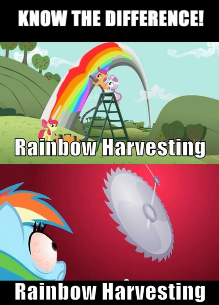 rainbow dash harvesting - meme