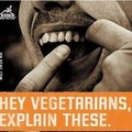 checkmate vegans...