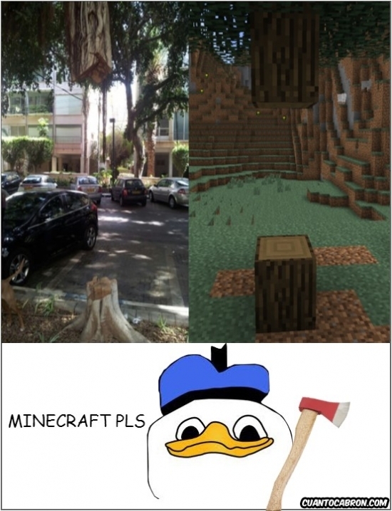 minecraft pls - meme