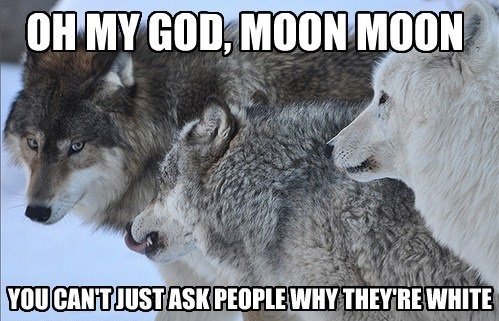 Dammit Moon Moon - meme