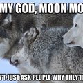 Dammit Moon Moon