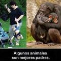 madres...