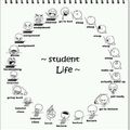 Circle of Life : level STUDENT