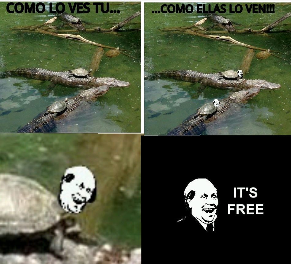 IT'S FREE!!! NIVEL: TORTUGAS. - meme