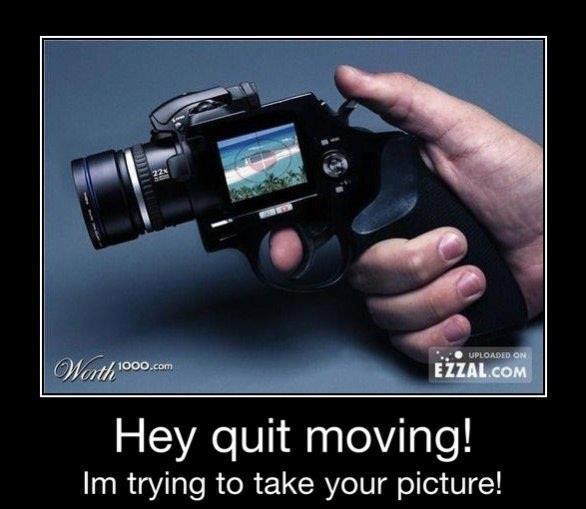 troll camera!!! - meme