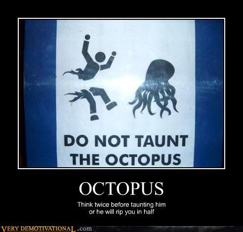 octopus - meme