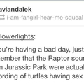 Turtle sex
