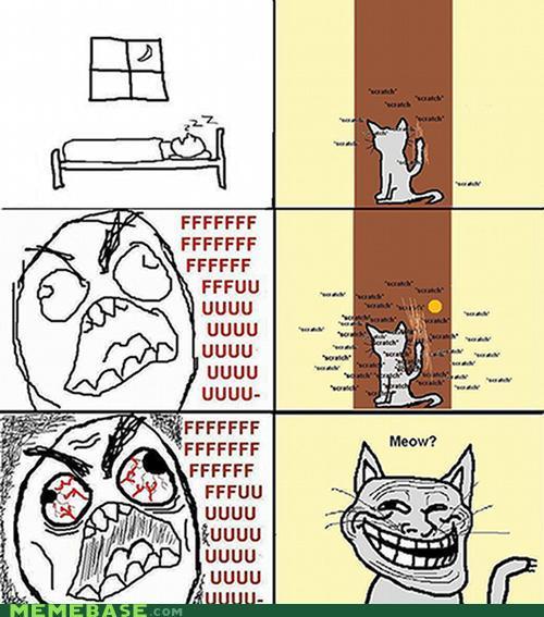 Troll Cat ! - meme