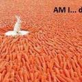 mother of carrots