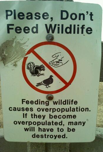 A sign I saw at Santa Monica Beach. - meme