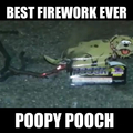 Poopy pouch