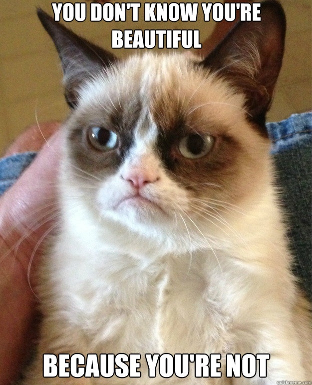 I think grumpy cat is cute - meme
