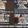 STEVE!!! FUCKING ANSWER ME RIGHT  MEOW!!