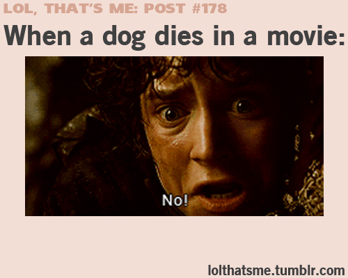 When a dog dies - meme