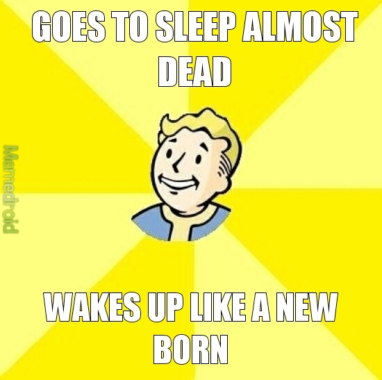 Fallout - meme