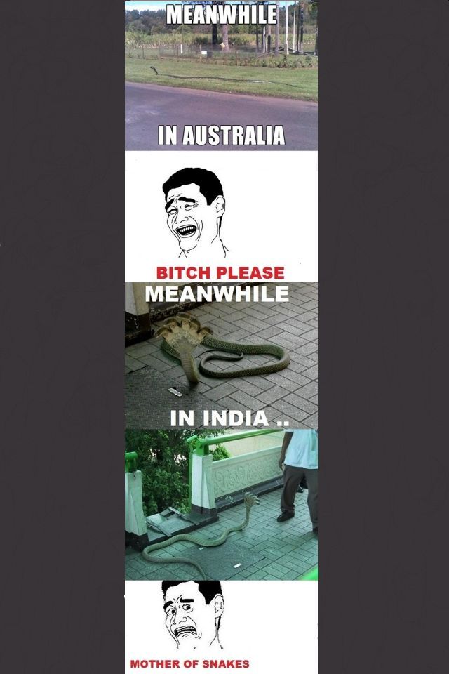 Meanwhile in India...... - meme