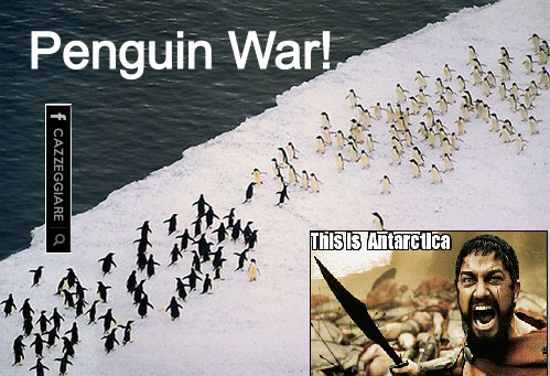 penguin war - meme