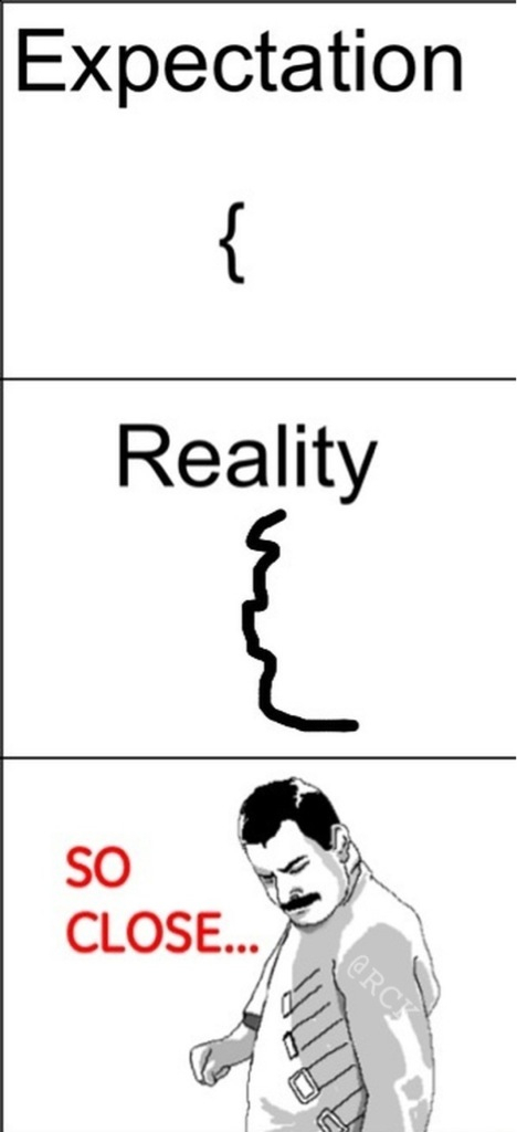 Expectation vs Reality - meme