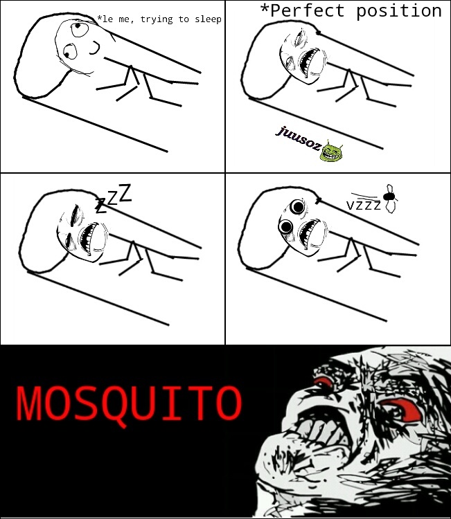 I Made This Meme While Mosquito Was Somewhere In My Room