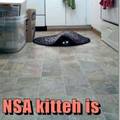 NSA has cats now?