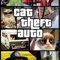 cat theft auto